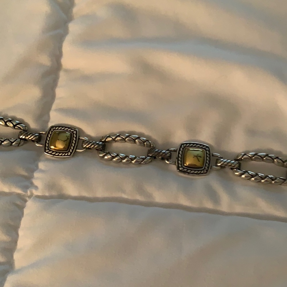 Two tone chain link belt
